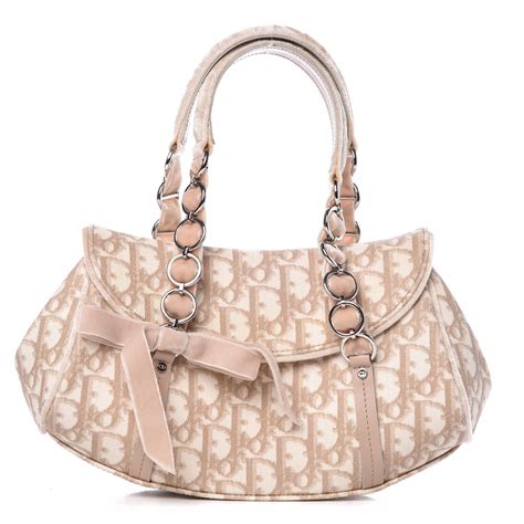 dior trotter cloth handbag cost